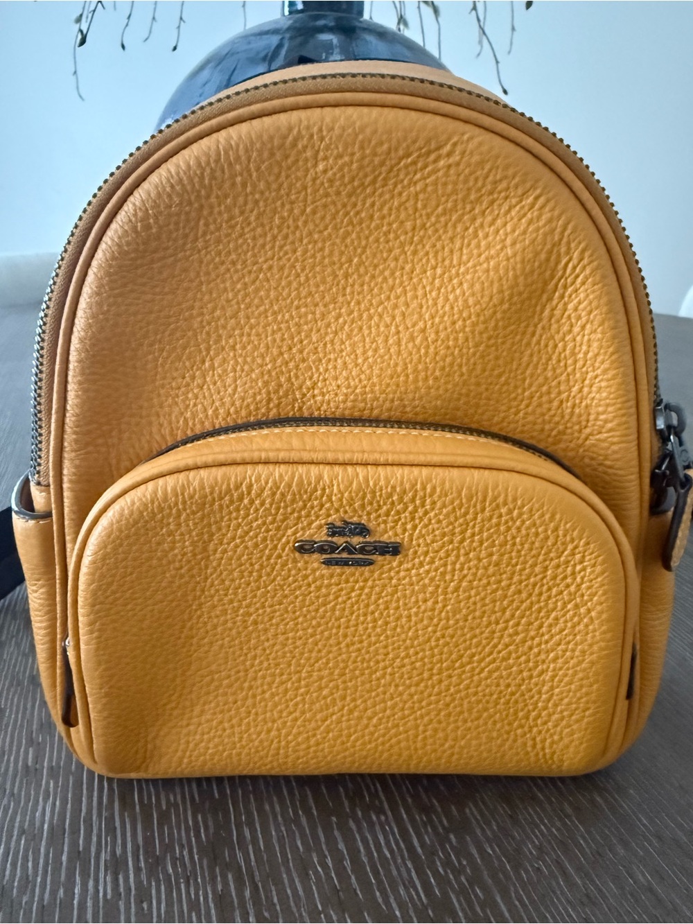 Coach Mini Backpack - Picture 3 of 10